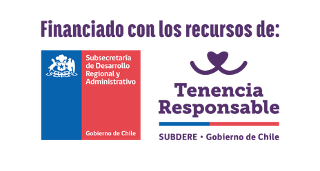 Logos del financiamiento del Gobierno de Chile y 
Subdere